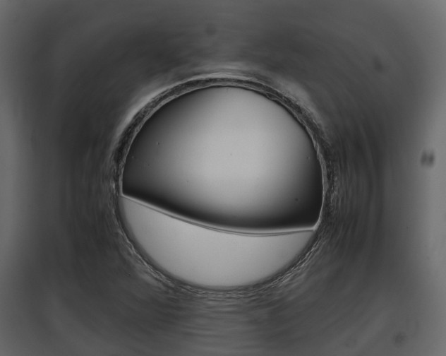 X0000097801360200803140727