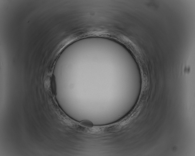X0000097801361200803140727