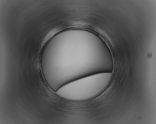 X0000097801362200803140727