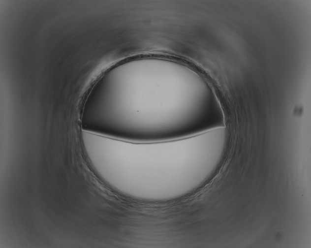 X0000097801363200803140727