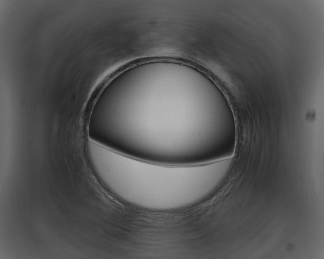 X0000097801364200803140726