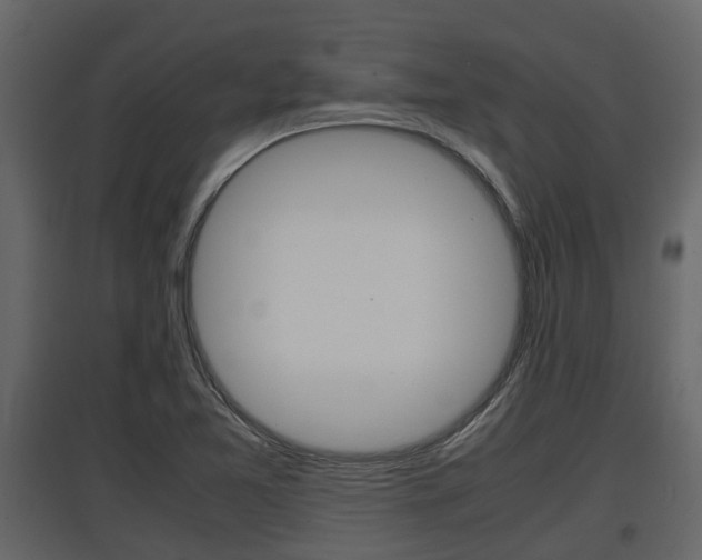 X0000097801365200803140726
