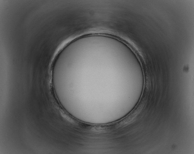 X0000097801366200803140726