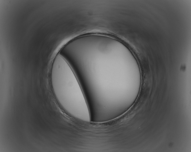X0000097801367200803140726