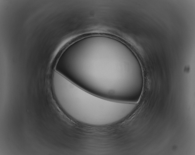 X0000097801368200803140726