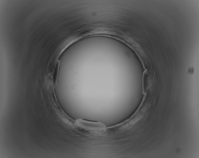 X0000097801369200803140726