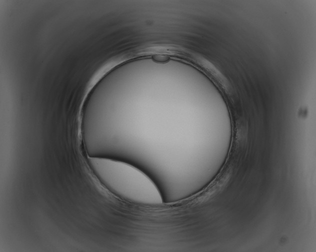 X0000097801370200803140726