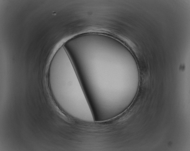 X0000097801371200803140726