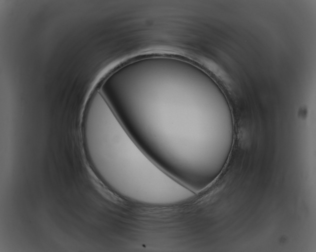 X0000097801372200803140726