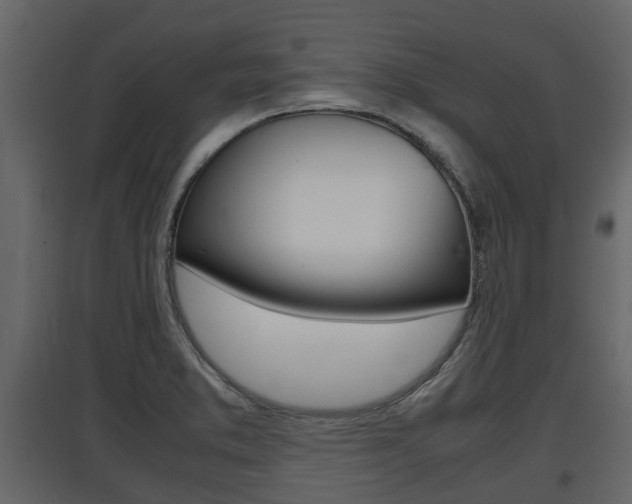 X0000097801373200803140726
