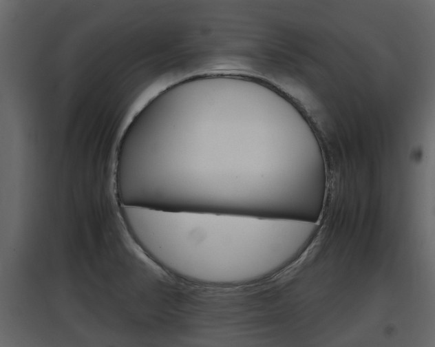 X0000097801374200803140726