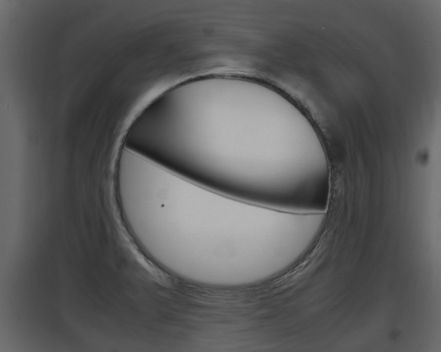X0000097801375200803140726