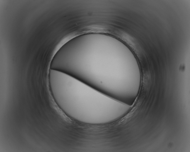 X0000097801378200803140726