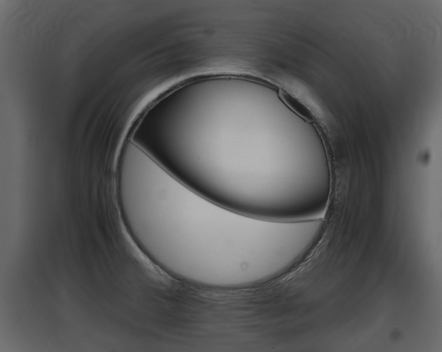 X0000097801380200803140726