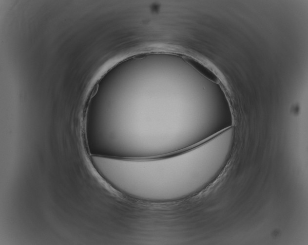 X0000097801381200803140726