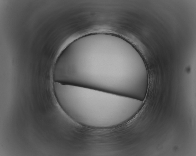 X0000097801382200803140726