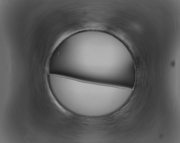 X0000097801383200803140726