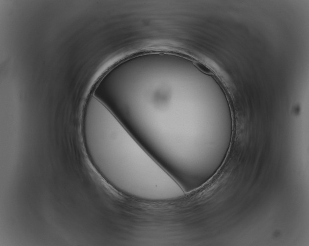 X0000097801384200803140726