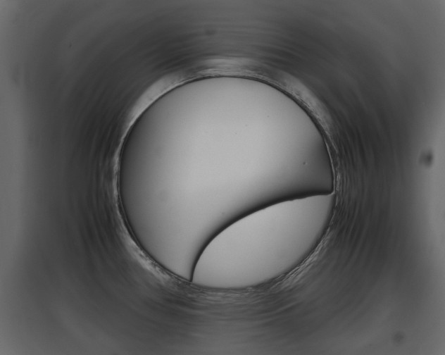X0000097801386200803140726
