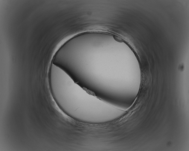 X0000097801387200803140726