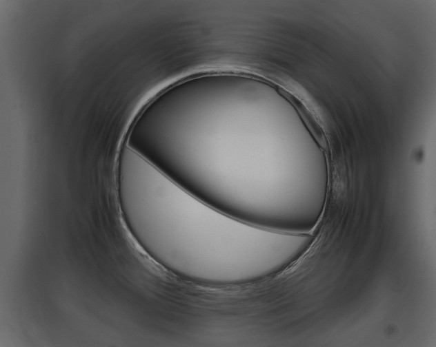 X0000097801388200803140726