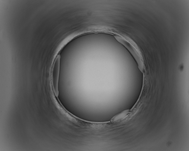 X0000097801389200803140726