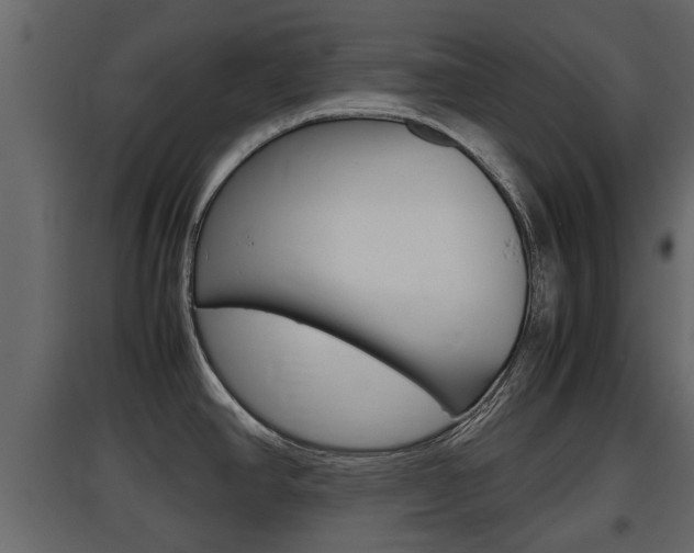 X0000097801390200803140726
