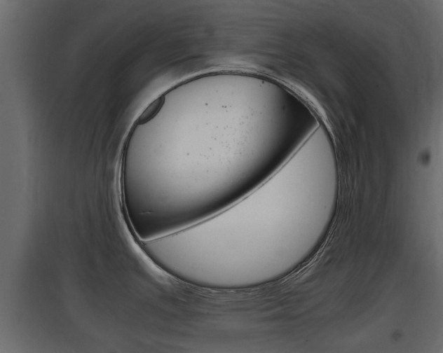 X0000097801391200803140726