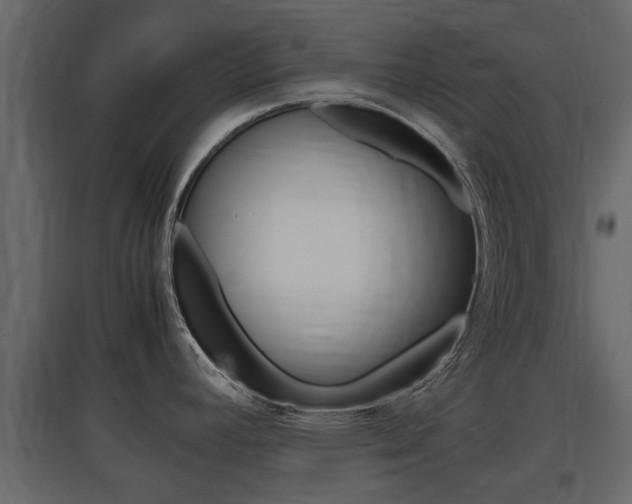 X0000097801392200803140726