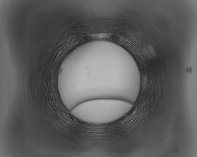 X0000097801393200803140725