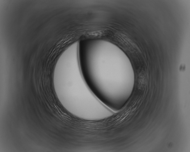 X0000097801394200803140725