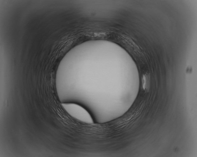 X0000097801395200803140725