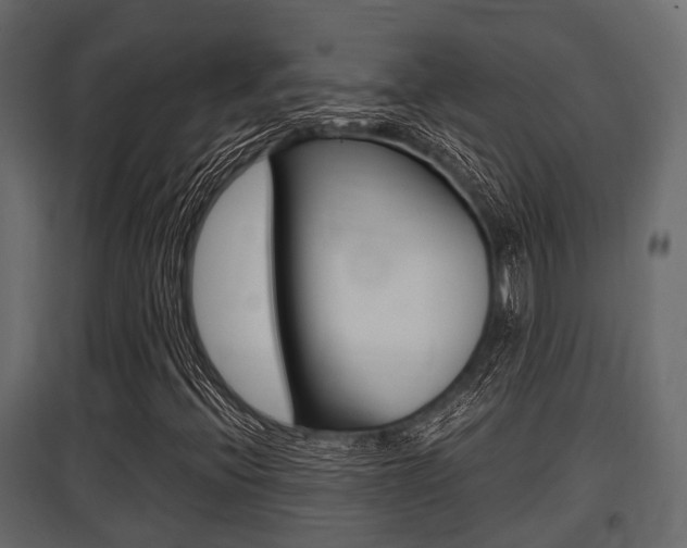 X0000097801396200803140725