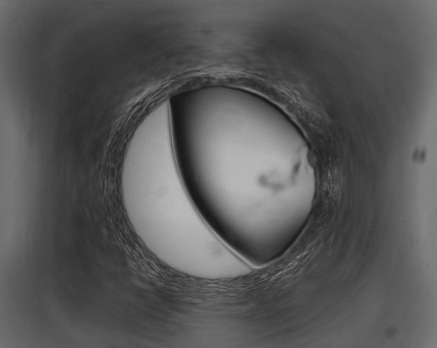 X0000097801398200803140726