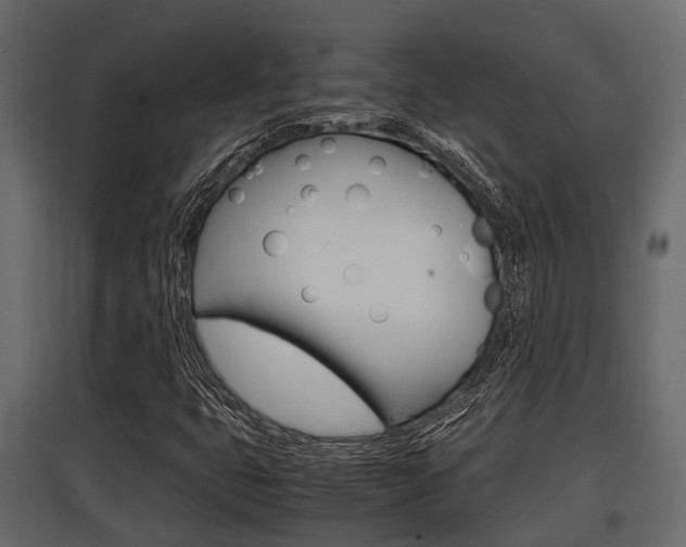 X0000097801399200803140726
