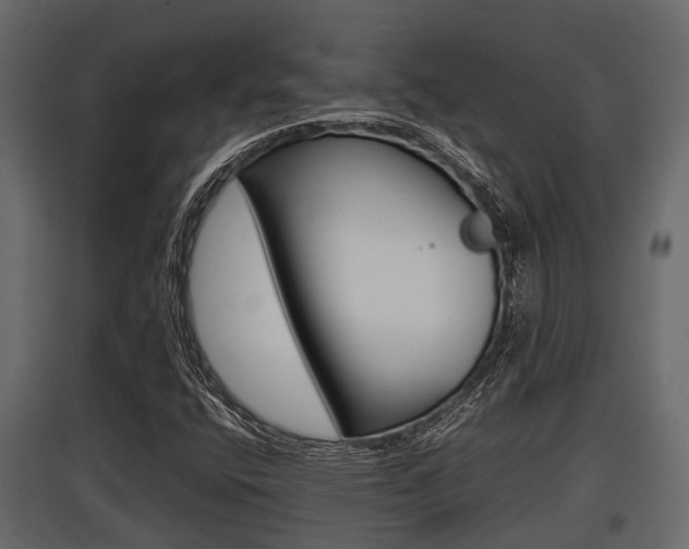 X0000097801400200803140726