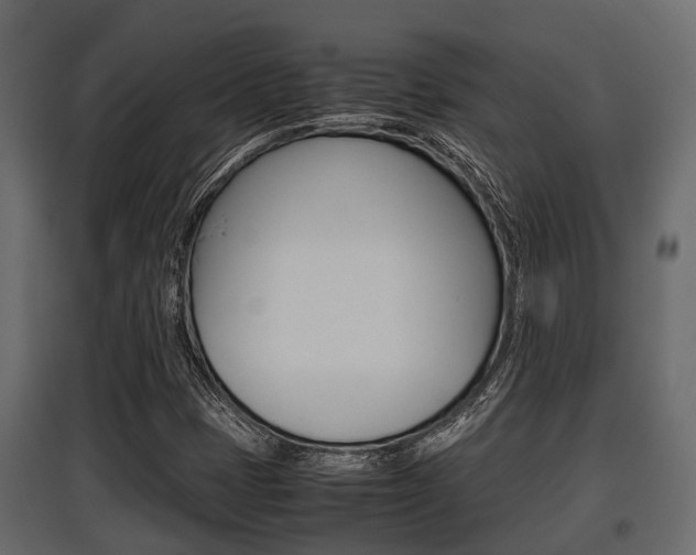 X0000097801401200803140726