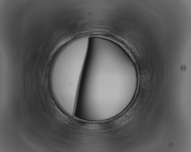 X0000097801402200803140726