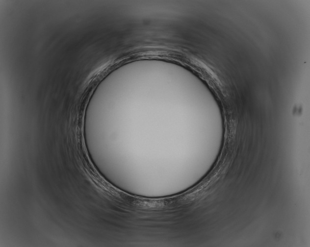 X0000097801403200803140726