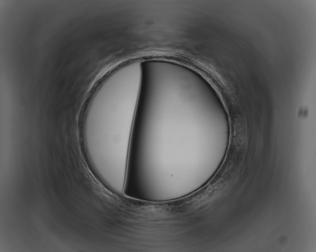 X0000097801404200803140726