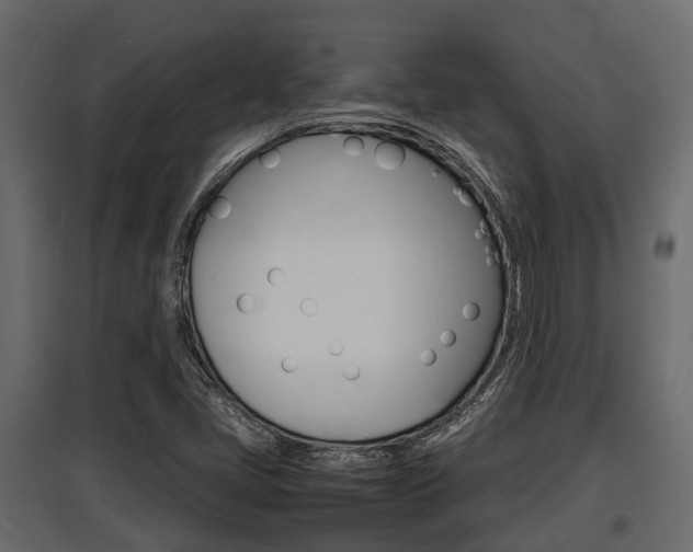 X0000097801405200803140726