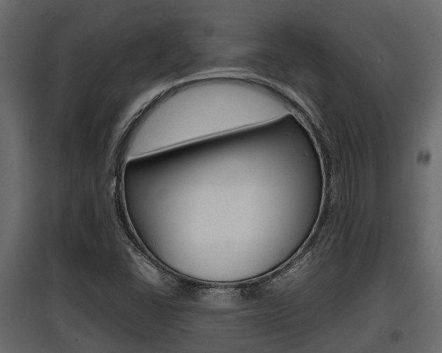 X0000097801406200803140726