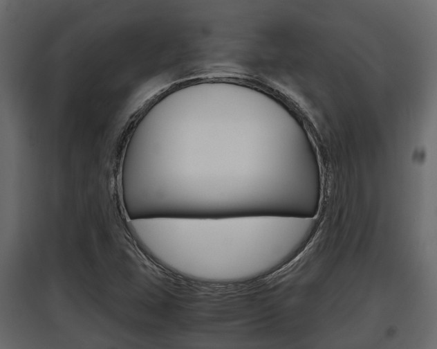 X0000097801407200803140726