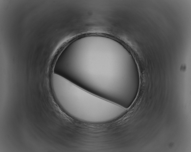 X0000097801408200803140726