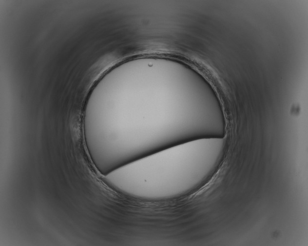 X0000097801409200803140726