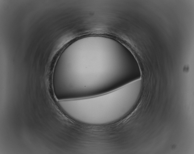 X0000097801410200803140726