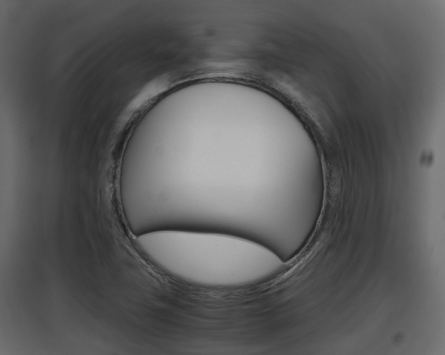 X0000097801411200803140726