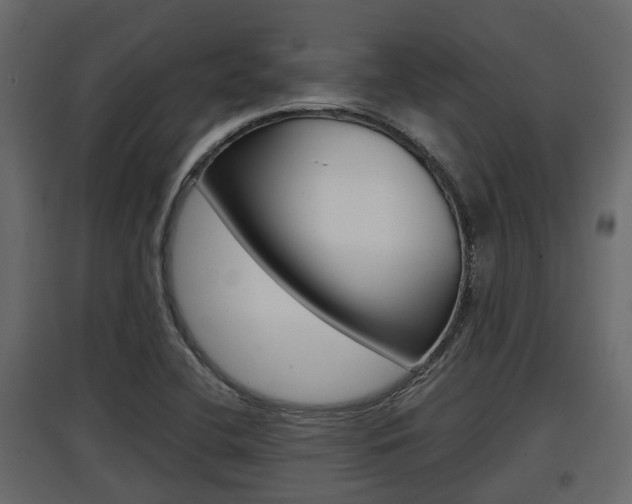 X0000097801412200803140726