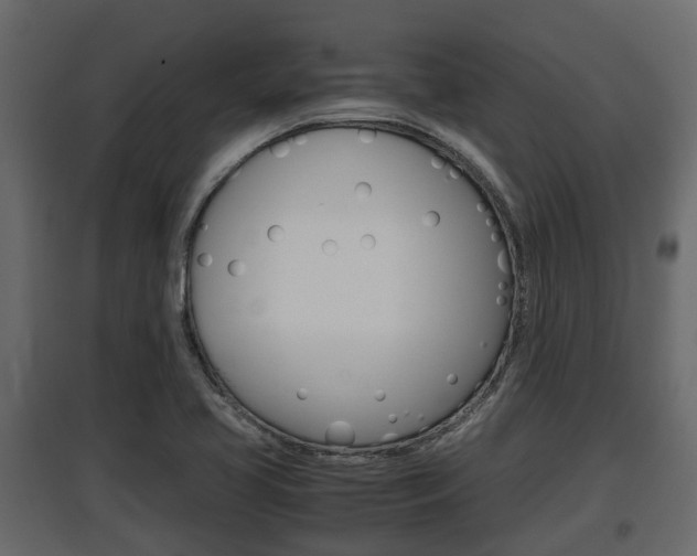X0000097801413200803140726