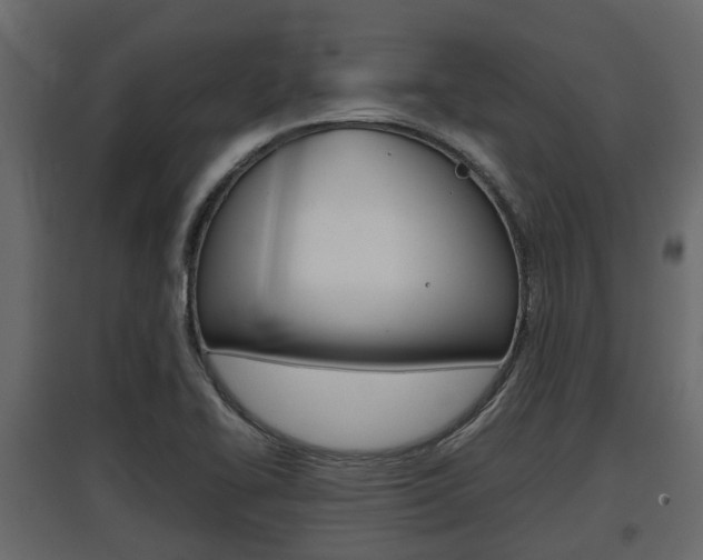 X0000097801414200803140726